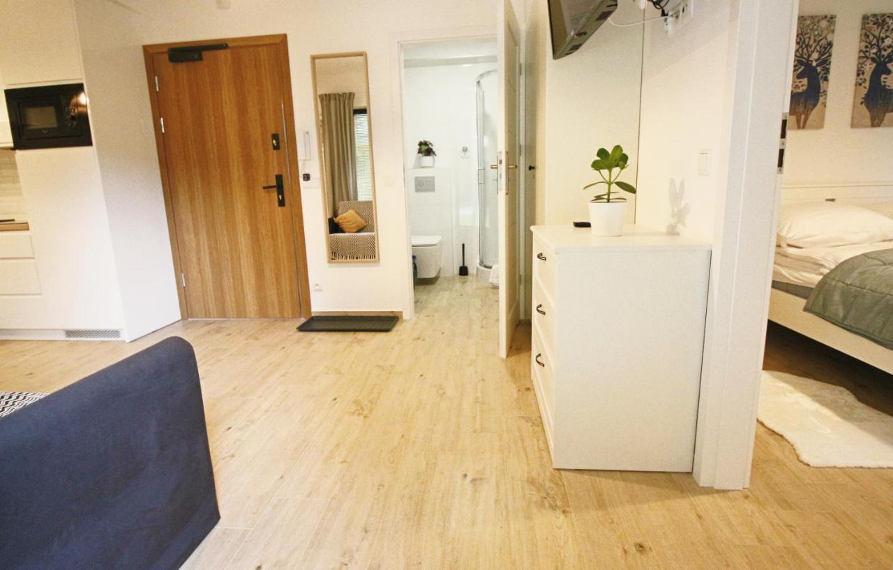 Apartment Bazatatry Kozica Zakopane Luaran gambar